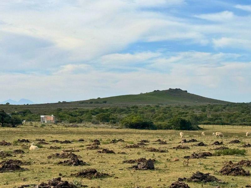 4 Bedroom Property for Sale in Mossel Bay Rural Western Cape